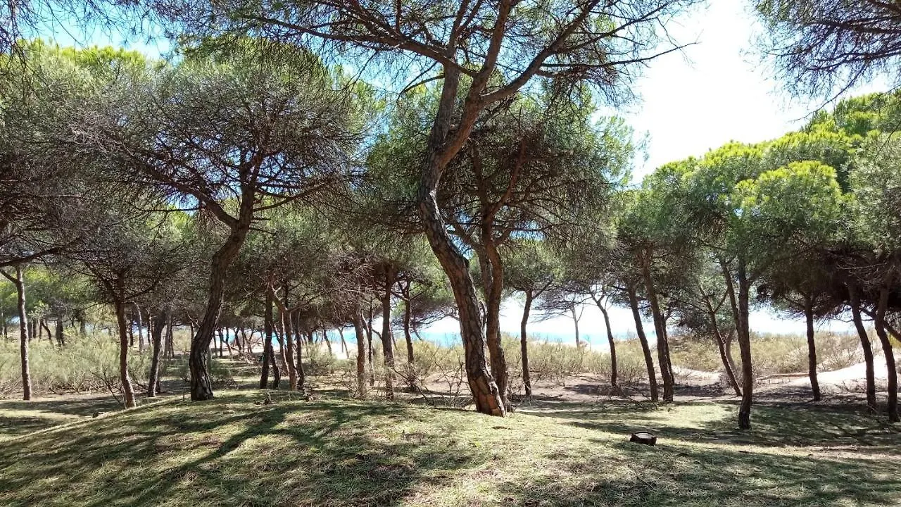 Apartamento En Islantilla Golf Apartment